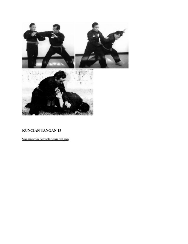 Materi Dasar Pencak Silat