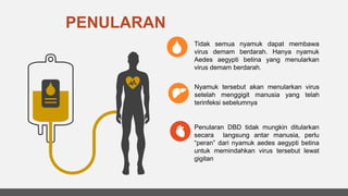 MATERI Demam berdarah dengue tahuan 2024 | PPTX