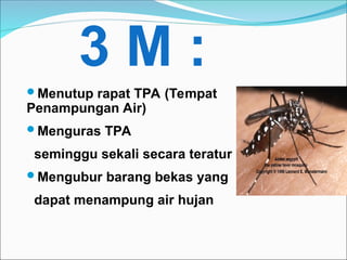 3 M :
Menutup rapat TPA (Tempat
Penampungan Air)
Menguras TPA
seminggu sekali secara teratur
Mengubur barang bekas yang
dapat menampung air hujan
 