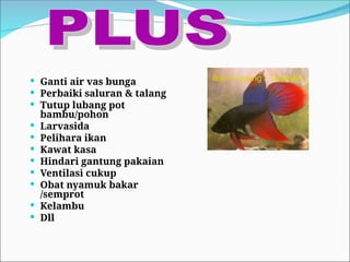  Ganti air vas bunga
 Perbaiki saluran & talang
 Tutup lubang pot
bambu/pohon
 Larvasida
 Pelihara ikan
 Kawat kasa
 Hindari gantung pakaian
 Ventilasi cukup
 Obat nyamuk bakar
/semprot
 Kelambu
 Dll
Ikan Cupang / Tempalo
 