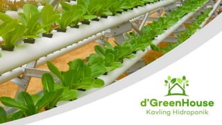 Materi dgreenhouse v3 Ciampea