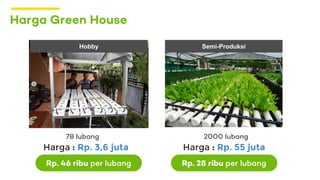 Harga Green House
Harga : Rp. 3,6 juta
78 lubang
Harga : Rp. 55 juta
2000 lubang
Rp. 46 ribu per lubang Rp. 28 ribu per lubang
Hobby Semi-Produksi
 