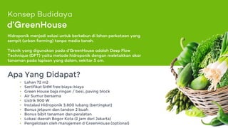 d’GreenHouse
Apa Yang Didapat?
Konsep Budidaya
Hidroponik menjadi solusi untuk berkebun di lahan perkotaan yang
sempit (urban farming) tanpa media tanah.
Teknik yang digunakan pada d’GreenHouse adalah Deep Flow
Technique (DFT) yaitu metode hidroponik dengan meletakkan akar
tanaman pada lapisan yang dalam, sekitar 5 cm.
• Lahan 72 m2
• Sertifikat SHM free biaya-biaya
• Green House baja ringan / besi, paving block
• Air Sumur bersama
• Listrik 900 W
• Instalasi Hidroponik 3.800 lubang (bertingkat)
• Bonus jetpum dan tandon 2 buah
• Bonus bibit tanaman dan peralatan
• Lokasi daerah Bogor Kota (2 jam dari Jakarta)
• Pengelolaan oleh manajemen d’GreenHouse (optional)
 