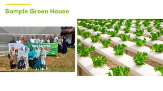 Sample Green House
 