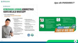 30
Apa sih PANDAWA??
 