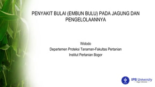 Bulai.pdf