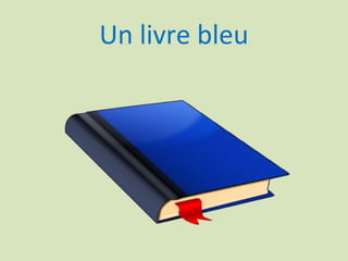 Un livre bleu
 