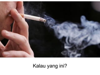 Kalau yang ini?
 