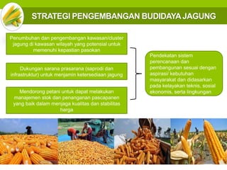 STRATEGI PENGEMBANGAN BUDIDAYAJAGUNG
Penumbuhan dan pengembangan kawasan/cluster
jagung di kawasan wilayah yang potensial untuk
memenuhi kepastian pasokan
Dukungan sarana prasarana (saprodi dan
infrastruktur) untuk menjamin ketersediaan jagung
Mendorong petani untuk dapat melakukan
manajemen stok dan penanganan pascapanen
yang baik dalam menjaga kualitas dan stabilitas
harga
Pendekatan sistem
perencanaan dan
pembangunan sesuai dengan
aspirasi/ kebutuhan
masyarakat dan didasarkan
pada kelayakan teknis, sosial
ekonomis, serta lingkungan
 