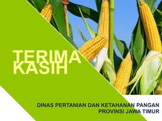 TERIMA
KASIH
DINAS PERTANIAN DAN KETAHANAN PANGAN
PROVINSI JAWA TIMUR
 