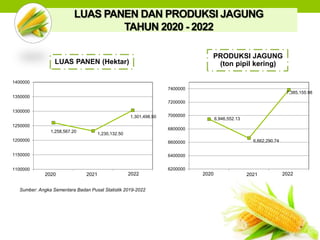 LUAS PANEN DAN PRODUKSI JAGUNG
TAHUN 2020 - 2022
Sumber: Angka Sementara Badan Pusat Statistik 2019-2022
PRODUKSI JAGUNG
(ton pipil kering)
LUAS PANEN (Hektar)
1,258,567.20
1,230,132.50
1,301,498.50
1100000
1150000
1200000
1250000
1300000
1350000
1400000
1 2 3
6,946,552.13
6,662,290.74
7,385,155.98
6200000
6400000
6600000
6800000
7000000
7200000
7400000
1 2 3
2020 2020
2021 2022 2021 2022
 