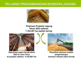 PELUANG PENGEMBANGAN BUDIDAYA JAGUNG
Kebutuhan pakan ternak tahun
2023 di Jawa Timur
di proyeksi sebesar 4.152.060 Ton
Pemulihan ekonomi melalui
pengembangan
kawasan industri pakan ternak
Prakiraan Produksi Jagung
Tahun 2023 sebesar
7.163.457 ton pipilan kering
 