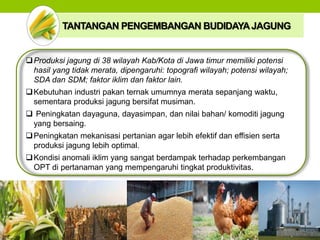 TANTANGAN PENGEMBANGAN BUDIDAYAJAGUNG
Produksi jagung di 38 wilayah Kab/Kota di Jawa timur memiliki potensi
hasil yang tidak merata, dipengaruhi: topografi wilayah; potensi wilayah;
SDA dan SDM; faktor iklim dan faktor lain.
Kebutuhan industri pakan ternak umumnya merata sepanjang waktu,
sementara produksi jagung bersifat musiman.
 Peningkatan dayaguna, dayasimpan, dan nilai bahan/ komoditi jagung
yang bersaing.
Peningkatan mekanisasi pertanian agar lebih efektif dan effisien serta
produksi jagung lebih optimal.
Kondisi anomali iklim yang sangat berdampak terhadap perkembangan
OPT di pertanaman yang mempengaruhi tingkat produktivitas.
 