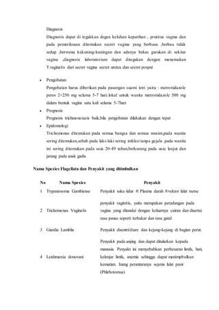 Diagnosis
Diagnosis dapat di tegakkan degan keluhan keputihan , prutirus vagina dan
pada pemeriksaan ditemukan secret vagina yang berbusa ,berbau tidak
sedap ,berwana kekuning-kuningan dan adanya bekas garukan di sekitar
vagina ,diagnosis laboratorium dapat ditegakan dengan menemukan
T.vaginalis dari secret vagina secret uretea dan secret pospat
 Pengobatan
Pengobatan harus diberikan pada pasangan suami istri yaitu : metronidazole
peros 2×250 mg selama 5-7 hari.lokal untuk wanita metronidazole 500 mg
dalam bentuk vagina satu kali selama 5-7hari
 Prognosis
Prognosis trichmonoiasis baik,bila pengobatan dilakukan dengan tepat
 Epidomologi
Trichomonas ditemukan pada semua bangsa dan semua musim,pada wanita
sering ditemukan,sebab pada laki-laki sering infeksi tanpa gejala .pada wanita
ini sering ditemukan pada usia 20-49 tahun,berkurang pada usia lanjut dan
jarang pada anak gadis
Nama Spesies Flagellata dan Penyakit yang ditimbulkan
No Nama Spesies Penyakit
1 Trypanosoma Gambiense Penyakit suka tidur ® Plasma darah ®vektor lalat tsetse
2 Trichomonas Vaginalis
penyakit vaginitis, yaitu merupakan peradangan pada
vagina yang ditandai dengan keluarnya cairan dan disertai
rasa panas seperti terbakar dan rasa gatal
3 Giardia Lamblia Penyakit disentri/diare dan kejang-kejang di bagian perut.
4 Leishmania donovani
Penyakit pada anjing dan dapat ditularkan kepada
manusia. Penyakt ini menyebabkan perbesaran limfa, hati,
kelenjar limfa, anemia sehingga dapat menimpbulkan
kematian. Inang perantaranya sejenis lalat pasir
(Phlebotomus)
 