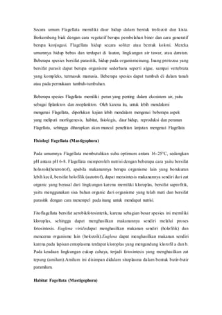 Secara umum Flagellata memiliki daur hidup dalam bentuk trofozoit dan kista.
Berkembang biak dengan cara vegetatif berupa pembelahan biner dan cara generatif
berupa konjugasi. Flagellata hidup secara soliter atau bentuk koloni. Mereka
umumnya hidup bebas dan terdapat di lautan, lingkungan air tawar, atau daratan.
Beberapa spesies bersifat parasitik, hidup pada organismeinang. Inang protozoa yang
bersifat parasit dapat berupa organisme sederhana seperti algae, sampai vertebrata
yang kompleks, termasuk manusia. Beberapa spesies dapat tumbuh di dalam tanah
atau pada permukaan tumbuh-tumbuhan.
Beberapa spesies Flagellata memiliki peran yang penting dalam ekosistem air, yaitu
sebagai fiplankton dan zooplankton. Oleh karena itu, untuk lebih mendalami
mengenai Flagellata, diperlukan kajian lebih mendalam mengenai beberapa aspek
yang meliputi morfogenesis, habitat, fisiologis, daur hidup, reproduksi dan peranan
Flagellata, sehingga diharapkan akan muncul penelitian lanjutan mengenai Flagellata
Fisiologi Fagellata (Mastigophora)
Pada umumnya Flagellata membutuhkan suhu optimum antara 16-25°C, sedangkan
pH antara pH 6-8. Flagellata memperoleh nutrisi dengan beberapa cara yaitu bersifat
holozoik(heterotrof), apabila makanannya berupa organisme lain yang berukuran
lebih kecil, bersifat holofilik (autotrof), dapat mensintesis makanannya sendiri dari zat
organic yang berasal dari lingkungan karena memiliki kloroplas, bersifat saprofitik,
yaitu menggunakan sisa bahan organic dari organisme yang telah mati dan bersifat
parasitik dengan cara menempel pada inang untuk mendapat nutrisi.
Fitoflagellata bersifat aerobikfotosintetik, karena sebagian besar spesies ini memiliki
kloroplas, sehingga dapat menghasilkan makanannya sendiri melalui proses
fotosintesis. Euglena viridisdapat menghasilkan makanan sendiri (holofilik) dan
mencerna organisme lain (holozoik).Euglena dapat menghasilkan makanan sendiri
karena pada lapisan entoplasma terdapat kloroplas yang mengandung klorofil a dan b.
Pada keadaan lingkungan cukup cahaya, terjadi fotosintesis yang menghasilkan zat
tepung (amilum).Amilum ini disimpan didalam sitoplasma dalam bentuk butir-butir
paramilum.
Habitat Fagellata (Mastigophora)
 