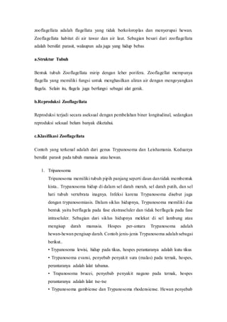 zooflagellata adalah flagellata yang tidak berkoloroplas dan menyerupai hewan.
Zooflagellata habitat di air tawar dan air laut. Sebagian besari dari zooflagellata
adalah bersifat parasit, walaupun ada juga yang hidup bebas
a.Struktur Tubuh
Bentuk tubuh Zooflagellata mirip dengan leher porifera. Zooflagellat mempunya
flagella yang memiliki fungsi untuk menghasilkan aliran air dengan mengoyangkan
flagela. Selain itu, flagela juga berfungsi sebagai alat gerak.
b.Reproduksi Zooflagellata
Reproduksi terjadi secara aseksual dengan pembelahan biner longitudinal, sedangkan
reproduksi seksual belum banyak diketahui.
c.Klasifikasi Zooflagellata
Contoh yang terkenal adalah dari genus Trypanosoma dan Leishamania. Keduanya
bersifat parasit pada tubuh manusia atau hewan.
1. Tripanosoma
Tripanosoma memiliki tubuh pipih panjang seperti daun dan tidak membentuk
kista.. Trypanosoma hidup di dalam sel darah merah, sel darah putih, dan sel
hati tubuh vertebrata inagnya. Infeksi karena Trypanosoma disebut juga
dengan trypanosomiasis. Dalam siklus hidupnya, Trypanosoma memiliki dua
bentuk yaitu berflagela pada fase ekstraseluler dan tidak berflagela pada fase
intraseluler. Sebagian dari siklus hidupnya melekat di sel lambung atau
mengisap darah manusia. Hospes per-antara Trypanosoma adalah
hewan-hewan pengisap darah. Contoh jenis-jenis Trypanosoma adalah sebagai
berikut..
• Trypanosoma lewisi, hidup pada tikus, hospes perantaranya adalah kutu tikus
• Trypanosoma evansi, penyebab penyakit sura (malas) pada ternak, hospes,
perantaranya adalah lalat tabanus.
• Trapanosoma brucei, penyebab penyakit nagano pada ternak, hospes
perantaranya adalah lalat tse-tse
• Trypanosoma gambiense dan Trypanosoma rhodensiense. Hewan penyebab
 