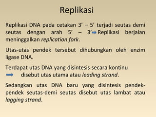 Replikasi
Replikasi DNA pada cetakan 3’ – 5’ terjadi seutas demi
seutas dengan arah 5’ – 3’ Replikasi berjalan
meninggalkan replication fork.
Utas-utas pendek tersebut dihubungkan oleh enzim
ligase DNA.
Terdapat utas DNA yang disintesis secara kontinu
disebut utas utama atau leading strand.
Sedangkan utas DNA baru yang disintesis pendek-
pendek seutas-demi seutas disebut utas lambat atau
lagging strand.
 