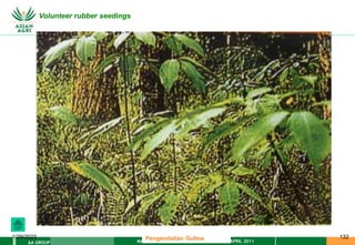 MATERI PENGENDALIAN GULMA EAT XXII 01 APRIL 2011
AA GROUP
1/29/2023 132
Volunteer rubber seedings
Pengendalian Gulma
 