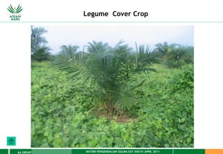 MATERI PENGENDALIAN GULMA EAT XXII 01 APRIL 2011
AA GROUP
Legume Cover Crop
 