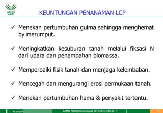 MATERI PENGENDALIAN GULMA EAT XXII 01 APRIL 2011
AA GROUP 17
KEUNTUNGAN PENANAMAN LCP
 Menekan pertumbuhan gulma sehingga menghemat
by merumput.
 Meningkatkan kesuburan tanah melalui fiksasi N
dari udara dan penambahan biomassa.
 Memperbaiki fisik tanah dan menjaga kelembaban.
 Mencegah dan mengurangi erosi permukaan tanah.
 Menekan pertumbuhan hama & penyakit tertentu.
 