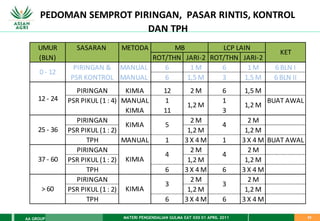 MATERI PENGENDALIAN GULMA EAT XXII 01 APRIL 2011
AA GROUP 23
UMUR SASARAN METODA
(BLN) ROT/THN JARI-2 ROT/THN JARI-2
PIRINGAN & MANUAL 6 1 M 6 1 M 6 BLN I
PSR KONTROL MANUAL 6 1,5 M 3 1,5 M 6 BLN II
PIRINGAN KIMIA 12 2 M 6 1,5 M
PSR PIKUL (1 : 4) MANUAL 1 1 BUAT AWAL
KIMIA 11 3
PIRINGAN 2 M 2 M
PSR PIKUL (1 : 2) 1,2 M 1,2 M
TPH MANUAL 1 3 X 4 M 1 3 X 4 M BUAT AWAL
PIRINGAN 2 M 2 M
PSR PIKUL (1 : 2) 1,2 M 1,2 M
TPH 6 3 X 4 M 6 3 X 4 M
PIRINGAN 2 M 2 M
PSR PIKUL (1 : 2) 1,2 M 1,2 M
TPH 6 3 X 4 M 6 3 X 4 M
PEDOMAN SEMPROT PIRINGAN, PASAR RINTIS, KONTROL
DAN TPH
25 - 36
4
5
37 - 60
4
LCP LAIN
MB
3 3
KET
> 60
KIMIA
KIMIA
0 - 12
1,2 M 1,2 M
12 - 24
KIMIA
4
 