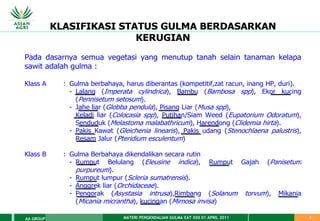 MATERI PENGENDALIAN GULMA EAT XXII 01 APRIL 2011
AA GROUP 6
KLASIFIKASI STATUS GULMA BERDASARKAN
KERUGIAN
Pada dasarnya semua vegetasi yang menutup tanah selain tanaman kelapa
sawit adalah gulma :
Klass A : Gulma berbahaya, harus diberantas (kompetitif,zat racun, inang HP, duri).
- Lalang (Imperata cylindrica), Bambu (Bambosa spp), Ekor kucing
(Pennisetum setosum).
- Jahe liar (Globba pendula), Pisang Liar (Musa spp),
Keladi liar (Colocasia spp), Putihan/Siam Weed (Eupatorium Odoratum),
Senduduk (Melastoma malabathricum), Harendong (Clidemia hirta).
- Pakis Kawat (Gleichenia linearis), Pakis udang (Stenochlaena palustris),
Resam Jalur (Pteridium esculentum)
Klass B : Gulma Berbahaya dikendalikan secara rutin
- Rumput Belulang (Eleusine indica), Rumput Gajah (Panisetum
purpureum).
- Rumput lumpur (Scleria sumatrensis).
- Anggrek liar (Orchidaceae).
- Pengorak (Asystasia intrusa),Rimbang (Solanum torvum), Mikania
(Micania micrantha), kucingan (Mimosa invisa)
 
