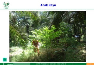 MATERI PENGENDALIAN GULMA EAT XXII 01 APRIL 2011
AA GROUP 75
Anak Kayu
 