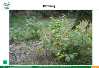 MATERI PENGENDALIAN GULMA EAT XXII 01 APRIL 2011
AA GROUP
Rimbang
 