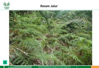 MATERI PENGENDALIAN GULMA EAT XXII 01 APRIL 2011
AA GROUP
Resam Jalur
 