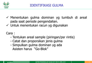 MATERI PENGENDALIAN GULMA EAT XXII 01 APRIL 2011
AA GROUP 9
IDENTIFIKASI GULMA
 Menentukan gulma dominan yg tumbuh di areal
pada saat periode pengendalian.
 Untuk menentukan racun yg digunakan
Cara :
- Tentukan areal sample (piringan/psr rintis)
- Catat dan proporsikan jenis gulma
- Simpulkan gulma dominan yg ada
Asisten harus “Go-Blok”
 