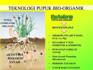 TEKNOLOGI PUPUK BIO-ORGANIK
• MIKROBA PELARUT HARA
(P, K, Ca, Mg)
• PENAMBAT N NON
SIMBIOTIK & SIMBIOTIK
• PEMANTAPAGREGAT
TANAH
• Plant Growth Promoting
Rhizobacteria
• HORMON TANAMAN
• UNSUR HARA TANAMAN
AKTIVITAS
BIOLOGI
TANAH
BIOTEKNOLOGI
JUMLAH TERBATAS
PUPUK
ANORGANIK/
ORGANIK
 