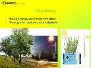 • Making electricity out of roots from plants
• Micro-organism produce constant electricity
Plant Power
 