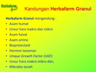 Herbafarm Granul mengandung :
• Asam humat
• Unsur hara makro dan mikro
• Asam fulvat
• Asam amino
• Bioprotectant
• Hormon tanaman
• Unique Growth Factor (UGF)
• Unsur hara makro-mikro dan,
• Mikrobia tanah
Kandungan Herbafarm Granul
 