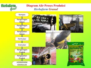 Pengeringan
Bahan
Kompos
Penggilingan
Bahan
Pengayakan
Bahan
Formulasi
Granulasi
Pengeringan
Produk
Pengayakan
Produk
HERBAFARM
GRANULAR
Diagram Alir Proses Produksi
Herbafarm Granul
 