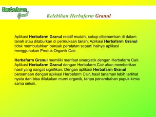 Kelebihan Herbafarm Granul
Aplikasi Herbafarm Granul relatif mudah, cukup dibenamkan di dalam
tanah atau ditaburkan di permukaan tanah. Aplikasi Herbafarm Granul
tidak membutuhkan banyak peralatan seperti halnya aplikasi
menggunakan Produk Organik Cair.
Herbafarm Granul memiliki manfaat sinergistik dengan Herbafarm Cair.
Aplikasi Herbafarm Granul dengan Herbafarm Cair akan memberikan
hasil yang sangat signifikan. Dengan aplikasi Herbafarm Granul
bersamaan dengan aplikasi Herbafarm Cair, hasil tanaman lebih terlihat
nyata dan bisa dilakukan murni organik, tanpa penambahan pupuk kimia
sama sekali.
 