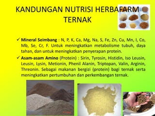 KANDUNGAN NUTRISI HERBAFARM
TERNAK
 Mineral Seimbang : N, P, K, Ca, Mg, Na, S, Fe, Zn, Cu, Mn, I, Co,
Mb, Se, Cr, F. Untuk meningkatkan metabolisme tubuh, daya
tahan, dan untuk meningkatkan penyerapan protein.
 Asam-asam Amino (Protein) : Sirin, Tyrosin, Histidin, Iso Leusin,
Leusin, Lysin, Metionin, Phenil Alanin, Triptopan, Valin, Arginin,
Threonin. Sebagai makanan bergizi (protein) bagi ternak serta
meningkatkan pertumbuhan dan perkembangan ternak.
 