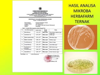 HASIL ANALISA
MIKROBA
HERBAFARM
TERNAK
 
