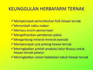 KEUNGGULAN HERBAFARM TERNAK
Mempercepat pertumbuhan fisik hewan ternak
Menambah nafsu makan
Memacu enzim pencernaan
Mengefisienkan pemberian pakan
Mengandung mineral-mineral esensial
Mempercepat usia potong hewan ternak
Meningkatkan jumlah produksi telur khusus untuk
hewan ternak petelur
Meningkatkan sistem kekebalan tubuh hewan ternak
 