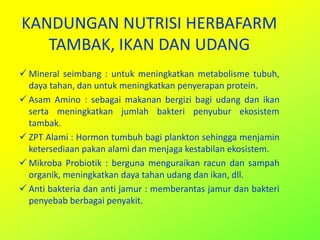 KANDUNGAN NUTRISI HERBAFARM
TAMBAK, IKAN DAN UDANG
 Mineral seimbang : untuk meningkatkan metabolisme tubuh,
daya tahan, dan untuk meningkatkan penyerapan protein.
 Asam Amino : sebagai makanan bergizi bagi udang dan ikan
serta meningkatkan jumlah bakteri penyubur ekosistem
tambak.
 ZPT Alami : Hormon tumbuh bagi plankton sehingga menjamin
ketersediaan pakan alami dan menjaga kestabilan ekosistem.
 Mikroba Probiotik : berguna menguraikan racun dan sampah
organik, meningkatkan daya tahan udang dan ikan, dll.
 Anti bakteria dan anti jamur : memberantas jamur dan bakteri
penyebab berbagai penyakit.
 