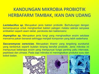 KANDUNGAN MIKROBIA PROBIOTIK
HERBAFARM TAMBAK, IKAN DAN UDANG
Lactobacillus sp, Merupakan jenis bakteri probiotik. Berhubungan dengan
kemampuanya untuk menghambat bakteri patogen melalui sekresi senyawa
antibakteri seperti asam laktat, peroksida dan bakteriosinc
Aspergillus sp, Merupakan jenis fungi yang menghasilkan enzim selulase
mencerna pakan berserat sehingga menjadi komponen yang lebih sederhana
Saccaromyces cereviciae, Merupakan khamir yang tergolong eurokariot
yang berbentuk seperti bulatan lonjong bersifat probiotik. Jenis mikroba ini
mempunyai beberapa enzim yang mempunyai fungsi penting yaitu intervase,
peptidase dan zimase. Pada sapi mikroba ini meningkatkan produksi susu dan
bobot badan.
 
