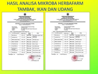 HASIL ANALISA MIKROBA HERBAFARM
TAMBAK, IKAN DAN UDANG
 