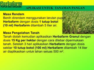 APLIKASI UNTUK TANAMAN PANGAN
Masa Rendam
Benih direndam menggunakan larutan pupuk
Herbafarm dengan dosis 1 tutup botol
(10 ml) Herbafarm ditambah 5 liter air.
Masa Pengolahan Tanah
Tanah diolah kemudian aplikasikan Herbafarm Granul dengan
dosis 15 Kg per hektar dengan cara ditebar dipermukaan
tanah. Setelah 3 hari aplikasikan Herbafarm dengan dosis
sekitar 10 tutup botol (100 ml) Herbafarm ditambah 14 liter
air diaplikasikan untuk lahan seluas 500 m2.
 