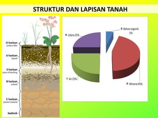 STRUKTUR DAN LAPISAN TANAH
Bahanorganik
5%
Mineral45%
Air25%
Udara25%
 