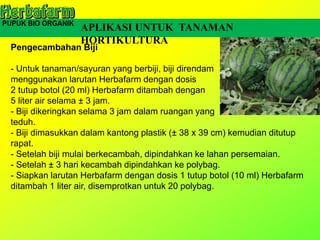 APLIKASI UNTUK TANAMAN
HORTIKULTURA
Pengecambahan Biji
- Untuk tanaman/sayuran yang berbiji, biji direndam
menggunakan larutan Herbafarm dengan dosis
2 tutup botol (20 ml) Herbafarm ditambah dengan
5 liter air selama ± 3 jam.
- Biji dikeringkan selama 3 jam dalam ruangan yang
teduh.
- Biji dimasukkan dalam kantong plastik (± 38 x 39 cm) kemudian ditutup
rapat.
- Setelah biji mulai berkecambah, dipindahkan ke lahan persemaian.
- Setelah ± 3 hari kecambah dipindahkan ke polybag.
- Siapkan larutan Herbafarm dengan dosis 1 tutup botol (10 ml) Herbafarm
ditambah 1 liter air, disemprotkan untuk 20 polybag.
 