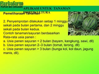 Pemeliharaan Tanaman
2. Penyemprotan dilakukan setiap 1 minggu
sekali pada bulan pertama, dan 2 minggu
sekali pada bulan kedua.
Contoh tanaman/sayuran berdasarkan
Rata-rata usia panen :
a. Usia panen sayuran < 2 bulan (bayam, kangkung, sawi, dll)
b. Usia panen sayuran 2–3 bulan (tomat, terong, dll)
c. Usia panen sayuran > 3 bulan (bunga kol, kol daun, jagung
manis, dll).
APLIKASI UNTUK TANAMAN
HORTIKULTURA
 