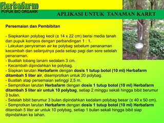 APLIKASI UNTUK TANAMAN KARET
Persemaian dan Pembibitan
- Siapkankan polybag kecil (± 14 x 22 cm) berisi media tanah
dan pupuk kompos dengan perbandingan 1 : 1.
- Lakukan penyiraman air ke polybag sebelum penanaman
kecambah dan selanjutnya pada setiap pagi dan sore setelah
penanaman.
- Buatlah lobang tanam sedalam 3 cm.
- Kecambah dipindahkan ke polybag.
- Siapkan larutan Herbafarm dengan dosis 1 tutup botol (10 ml) Herbafarm
ditambah 5 liter air, disemprotkan untuk 20 polybag.
- Buatlah atap persemaian setinggi 2,5 m.
- Semprotkan larutan Herbafarm dengan dosis 1 tutup botol (10 ml) Herbafarm
ditambah 5 liter air untuk 10 polybag, setiap 2 minggu sekali hingga bibit berumur
3 bulan.
- Setelah bibit berumur 3 bulan dipindahkan kedalam polybag besar (± 40 x 50 cm).
- Semprotkan larutan Herbafarm dengan dosis 1 tutup botol (10 ml) Herbafarm
ditambah 5 liter air untuk 10 polybag, setiap 1 bulan sekali hingga bibit siap
dipindahkan ke lahan.
 