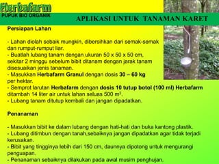 APLIKASI UNTUK TANAMAN KARET
Persiapan Lahan
- Lahan diolah sebaik mungkin, dibersihkan dari semak-semak
dan rumput-rumput liar.
- Buatlah lubang tanam dengan ukuran 50 x 50 x 50 cm,
sekitar 2 minggu sebelum bibit ditanam dengan jarak tanam
disesuaikan jenis tanaman.
- Masukkan Herbafarm Granul dengan dosis 30 – 60 kg
per hektar.
- Semprot larutan Herbafarm dengan dosis 10 tutup botol (100 ml) Herbafarm
ditambah 14 liter air untuk lahan seluas 500 m2.
- Lubang tanam ditutup kembali dan jangan dipadatkan.
Penanaman
- Masukkan bibit ke dalam lubang dengan hati-hati dan buka kantong plastik.
- Lubang ditimbun dengan tanah,sebaiknya jangan dipadatkan agar tidak terjadi
kerusakan.
- Bibit yang tingginya lebih dari 150 cm, daunnya dipotong untuk mengurangi
penguapan.
- Penanaman sebaiknya dilakukan pada awal musim penghujan.
 
