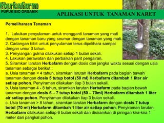 APLIKASI UNTUK TANAMAN KARET
Pemeliharaan Tanaman
1. Lakukan penyulaman untuk mengganti tanaman yang mati
dengan tanaman baru yang seumur dengan tanaman yang mati.
2. Cadangan bibit untuk penyulaman terus dipelihara sampai
dengan umur 3 tahun.
3. Penyiangan gulma dilakukan setiap 1 bulan sekali.
4. Lakukan perawatan dan perbaikan parit pengairan.
5. Siramkan larutan Herbafarm dengan dosis dan jangka waktu sesuai dengan usia
tanaman sebagai berikut :
a. Usia tanaman < 4 tahun, siramkan larutan Herbafarm pada bagian bawah
tanaman dengan dosis 5 tutup botol (50 ml) Herbafarm ditambah 1 liter air
setiap pohon. Penyiraman dilakukan tiap 3 bulan sekali.
b. Usia tanaman 4 - 8 tahun, siramkan larutan Herbafarm pada bagian bawah
tanaman dengan dosis 5 – 7 tutup botol (50 – 70ml) Herbafarm ditambah 1 liter
air setiap pohon. Penyiraman dilakukan tiap 3 bulan sekali.
c. Usia tanaman > 8 tahun, siramkan larutan Herbafarm dengan dosis 7 tutup
botol (70 ml) Herbafarm ditambah 1 liter air setiap pohon. Penyiraman larutan
Herbafarm dilakukan setiap 6 bulan sekali dan disiramkan di piringan kira-kira 1
meter dari pangkal pohon.
 