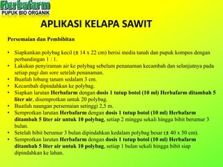 APLIKASI KELAPA SAWIT
Persemaian dan Pembibitan
• Siapkankan polybag kecil (± 14 x 22 cm) berisi media tanah dan pupuk kompos dengan
perbandingan 1 : 1.
• Lakukan penyiraman air ke polybag sebelum penanaman kecambah dan selanjutnya pada
setiap pagi dan sore setelah penanaman.
• Buatlah lobang tanam sedalam 3 cm.
• Kecambah dipindahkan ke polybag.
• Siapkan larutan Herbafarm dengan dosis 1 tutup botol (10 ml) Herbafarm ditambah 5
liter air, disemprotkan untuk 20 polybag.
• Buatlah naungan persemaian setinggi 2,5 m.
• Semprotkan larutan Herbafarm dengan dosis 1 tutup botol (10 ml) Herbafarm
ditambah 5 liter air untuk 10 polybag, setiap 2 minggu sekali hingga bibit berumur 3
bulan.
• Setelah bibit berumur 3 bulan dipindahkan kedalam polybag besar (± 40 x 50 cm).
• Semprotkan larutan Herbafarm dengan dosis 1 tutup botol (10 ml) Herbafarm
ditambah 5 liter air untuk 10 polybag, setiap 1 bulan sekali hingga bibit siap
dipindahkan ke lahan.
 