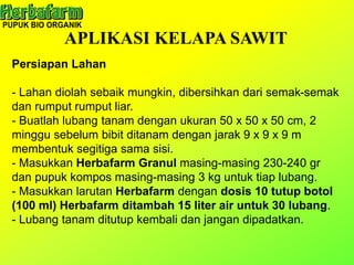 APLIKASI KELAPA SAWIT
Persiapan Lahan
- Lahan diolah sebaik mungkin, dibersihkan dari semak-semak
dan rumput rumput liar.
- Buatlah lubang tanam dengan ukuran 50 x 50 x 50 cm, 2
minggu sebelum bibit ditanam dengan jarak 9 x 9 x 9 m
membentuk segitiga sama sisi.
- Masukkan Herbafarm Granul masing-masing 230-240 gr
dan pupuk kompos masing-masing 3 kg untuk tiap lubang.
- Masukkan larutan Herbafarm dengan dosis 10 tutup botol
(100 ml) Herbafarm ditambah 15 liter air untuk 30 lubang.
- Lubang tanam ditutup kembali dan jangan dipadatkan.
 